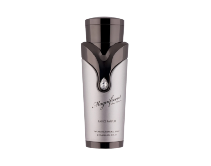 Magnificent Pour Homme Armaf 100ml