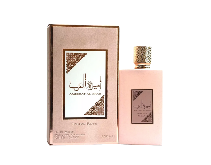 Diseño sin título - 2026-01-29T175512.096