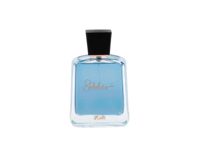 Diseño sin título - 2026-01-29T192239.159